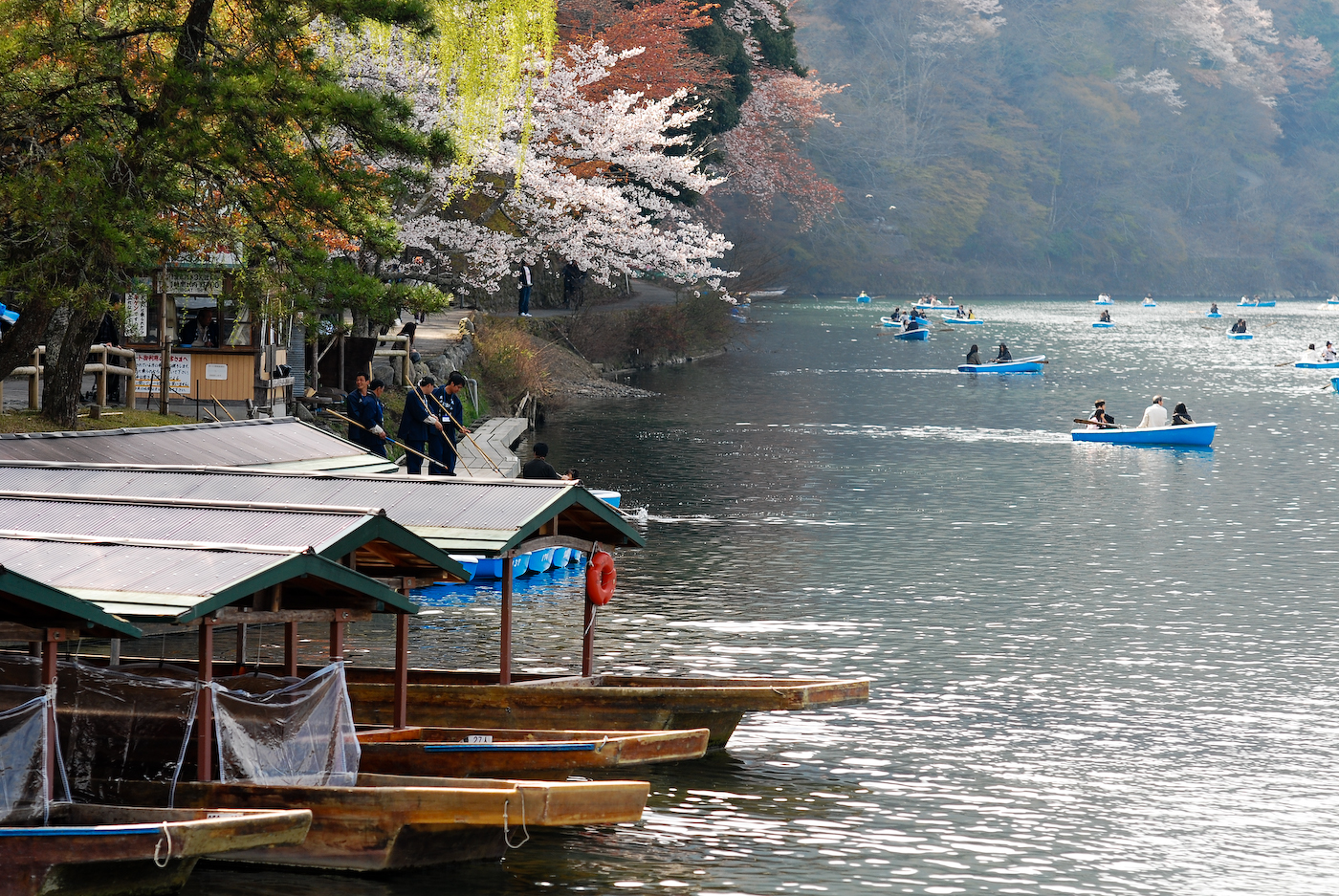 River and blossom in Arashiyama