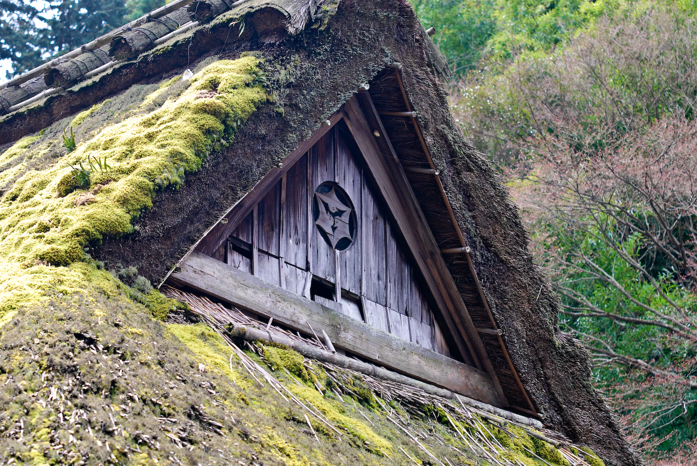 Traditional roof in Arashiyama