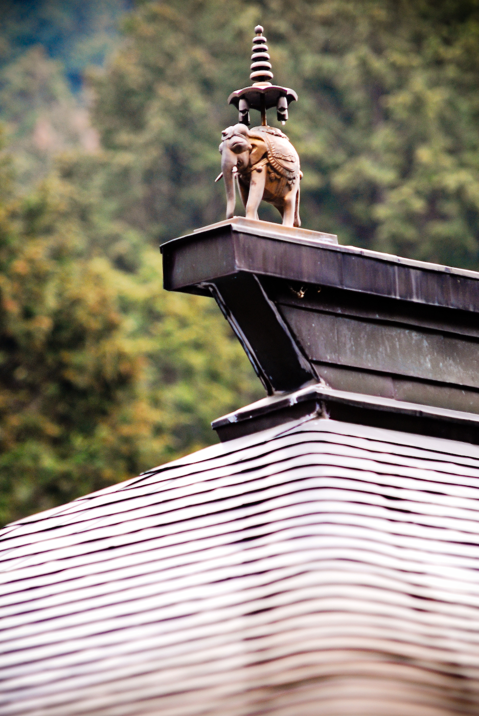 Temple roofline in Arashiyama